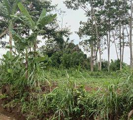 Dijual Tanah Strategis Merjosari Lowokwaru Kota Malang