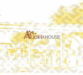 Alesha House Non Pool Rumah Kost Keren Terbaik di BSD City