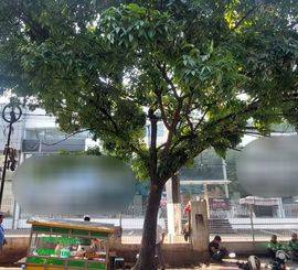 Disewakan Gedung ex Showroom Mazda di MT Haryono