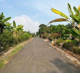 Tanah Kebun Durian 2000m2 Siap Panen Mojogedang Karanganyar