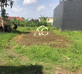 DIJUAL TANAH DI KARANG BESUKI