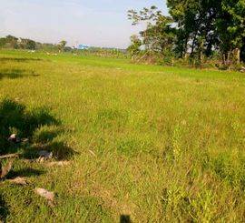 BU JUAL TANAH SAWAH
Berkah Dan Amanah