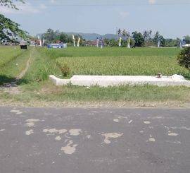 Dijual Rumah Scandinavian Murah Di Depan Pabrik SGM Prambanan Siap KPR