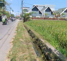 FREEHOLD Dijual Tanah Komersil Lokasi Tumbak Bayuh Pererenan