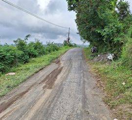 Dijual Tanah Kebun Full View Lokasi Petang Badung Bali