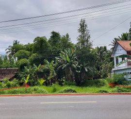 Tanah SHM pinggir jalan Nasional dekat Bandara YIA Temon Kulon Progo Yogyakarta