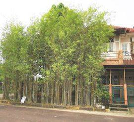 Dijual Rumah Center Point (Batam Center) Type 200/290 m2 - Batam