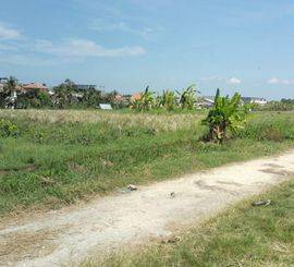 TANAH VIEW SAWAH JALAN BABAKAN KUBU CANGGU MURAH UNTUK INVESTASI LUAS 4000M2 KUTA UTARA BADUNG BALI