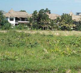 TANAH VIEW SAWAH JALAN BABAKAN KUBU CANGGU MURAH UNTUK INVESTASI LUAS 2000M2 KUTA UTARA BADUNG BALI
