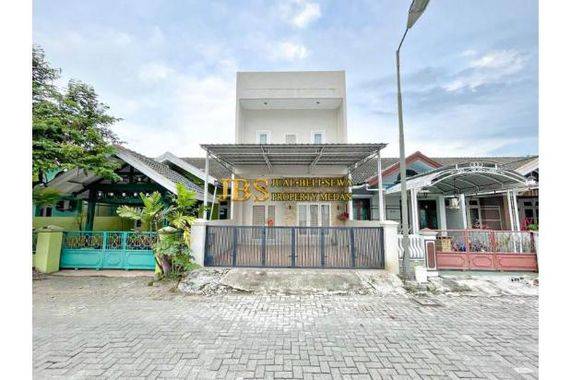 Cemara Hijau