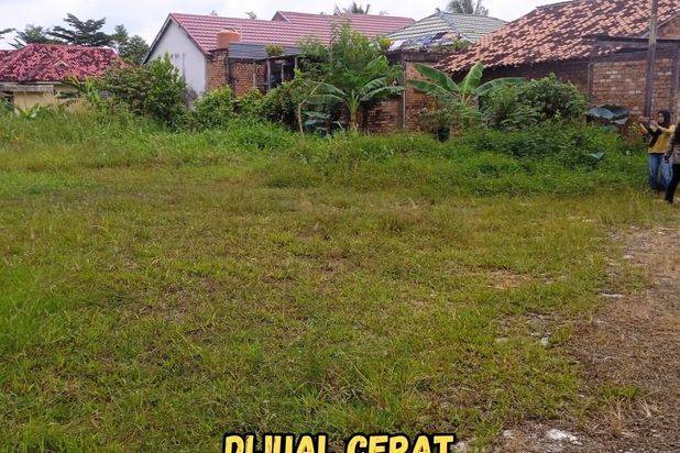 tanah tanjung barangan murah sertifikat hak milik