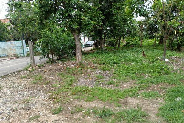 tanah maskarebet depan SD 41 Muhammadiyyah