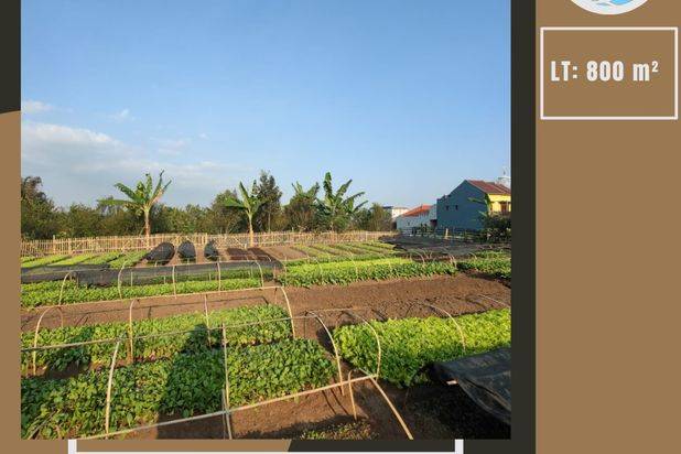 TANAH SUBUR LUAS HARGA ISTIMEWA DI BUMIAJI KOTA BATU.
