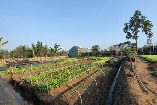 TANAH SUBUR LUAS HARGA ISTIMEWA DI BUMIAJI KOTA BATU.