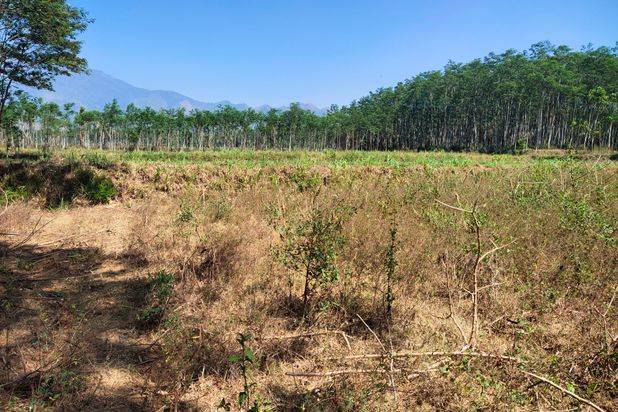 Tanah Murah, Tanah Industri, Tanah Pinggir Jalan