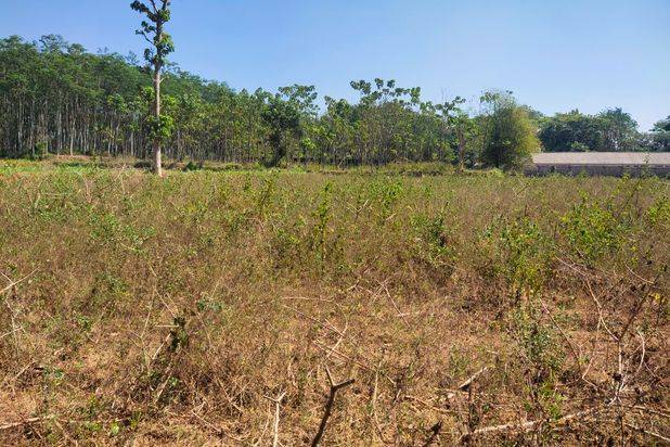 Tanah Murah, Tanah Industri, Tanah Pinggir Jalan