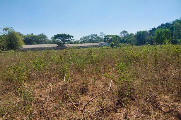 Tanah Murah, Tanah Industri, Tanah Pinggir Jalan