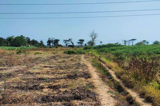 Tanah Murah, Tanah Nol Propinsi, Tanah Siap Bangun