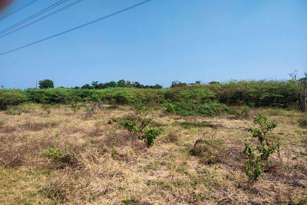 Tanah Murah, Tanah Nol Propinsi, Tanah Siap Bangun