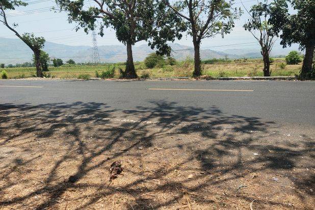 Tanah Murah, Tanah Nol Propinsi, Tanah Siap Bangun