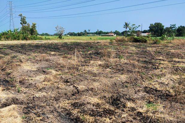 Tanah Murah, Tanah Nol Propinsi, Tanah Siap Bangun