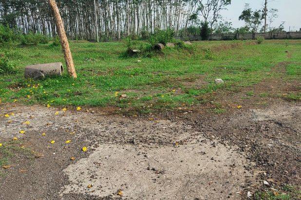Rumah Murah, Rumah Subsidi, Bebas DP.