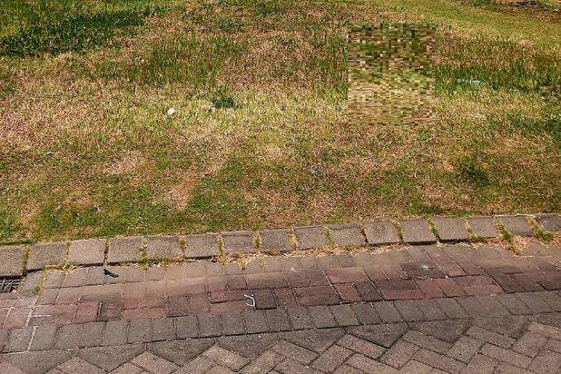 Tanah Citraland Sommerset Nego Sampai Deal