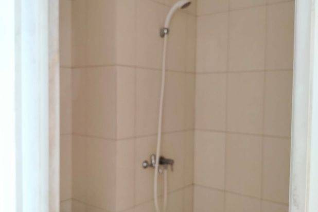 Sewa Murah Apartemen Tipe Studio Berlokasi Di Springlake
