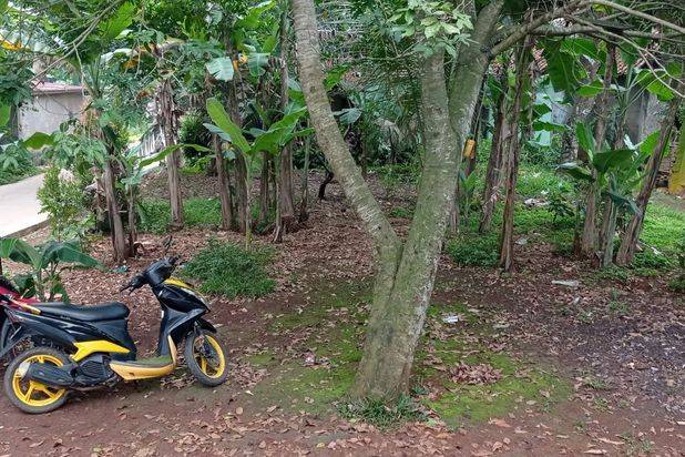 Tanah Lokasi Pinggir Jalan Dekat Kantor Desa Sasak Panjang