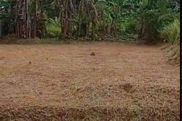 Tanah Murah Siap Bangun Area Babakan Pocis Serpong