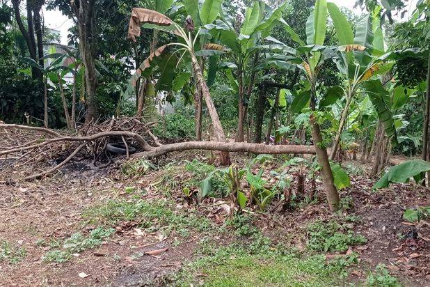 Tanah Murah Siap Bangun Lokasi Dekat Kantor Citayam