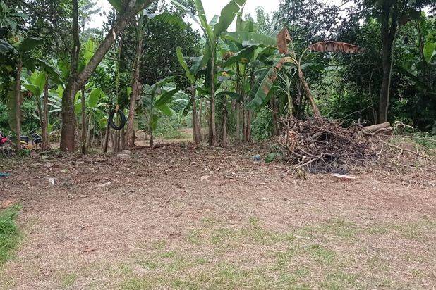 Tanah Murah Siap Bangun Lokasi Dekat Kantor Citayam