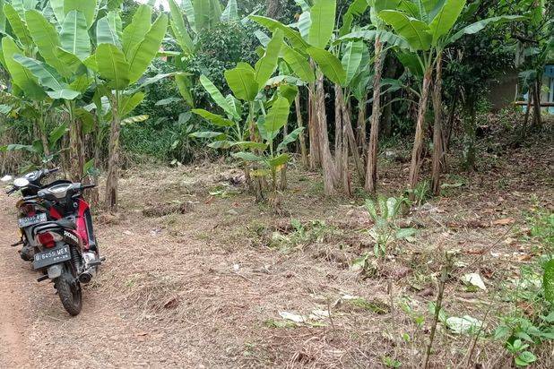 Tanah Murah Siap Bangun Lokasi Dekat Kantor Citayam
