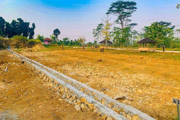 Viral Sensation! Kavling Nazra Cikahuripan: Udara Seger Beneran, Air Ngebut!