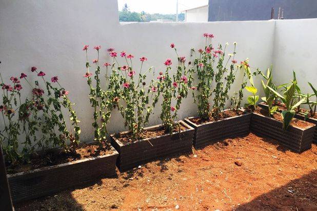 Rumah Murah Dekat Stasiun Parung Panjang