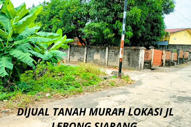 Dijual tanah murah siap bangun lokasi jalan lebong siarang