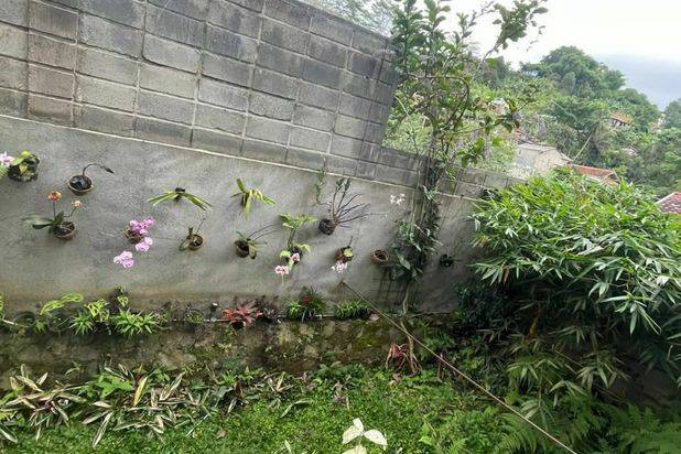 Rumah Bagus Asri Dengan Desain Rumah Natural Type Downslope Yang Lokasinya Do Daerah Ciumbuleuit