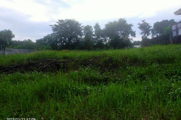 Jual CEPAT Lahan Tanah Kosong Untuk Tempat Tinggal Aman dan Bagus Rumah Pribadi