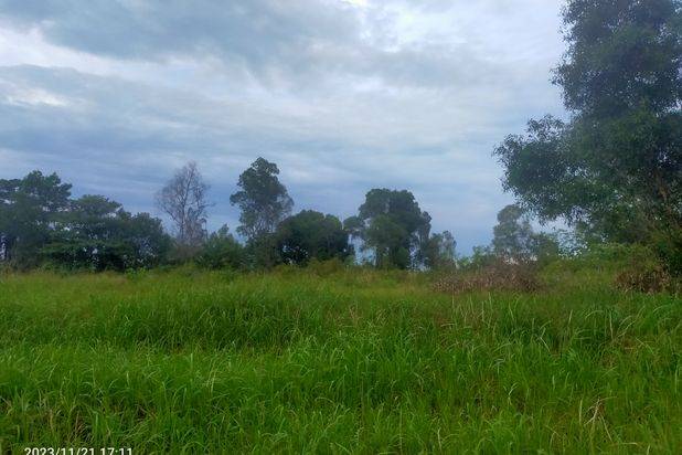 Jual CEPAT Lahan Tanah Kosong Untuk Tempat Tinggal Aman dan Bagus Rumah Pribadi