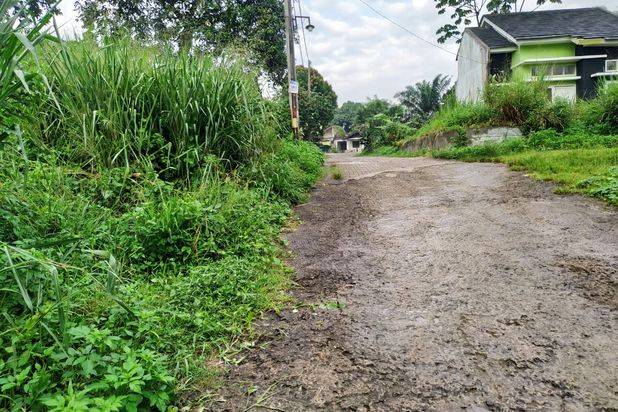 6,4 Km Dari Shila Sawangan Lokasi Di Gn.Sindur Sudah Ada Ready 11 Unit Rumah