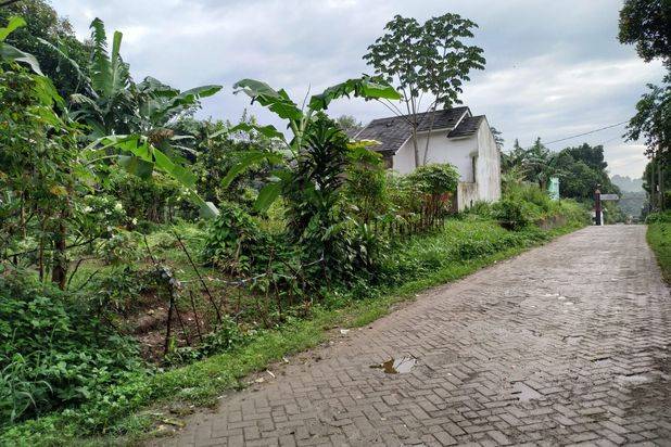 6,4 Km Dari Shila Sawangan Lokasi Di Gn.Sindur Sudah Ada Ready 11 Unit Rumah