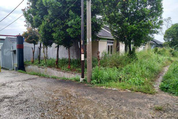 6,4 Km Dari Shila Sawangan Lokasi Di Gn.Sindur Sudah Ada Ready 11 Unit Rumah