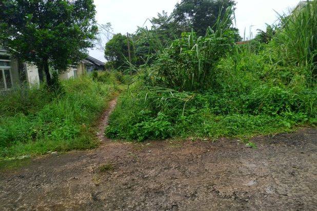 6,4 Km Dari Shila Sawangan Lokasi Di Gn.Sindur Sudah Ada Ready 11 Unit Rumah