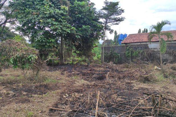 Shm Setengah Harga Dari Njop Hadap Jalan Raya