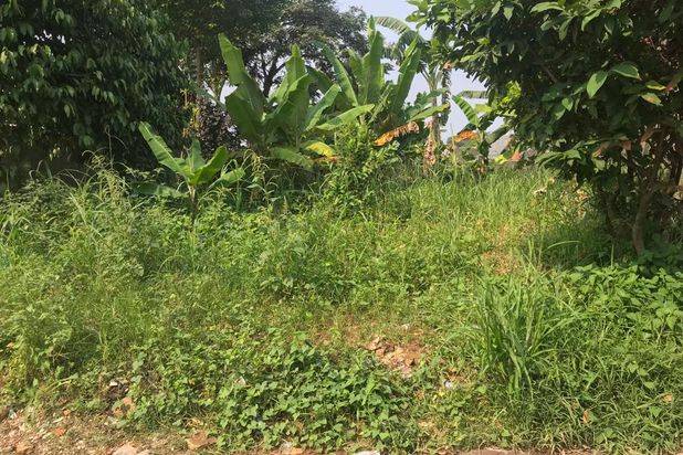 Tanah Cocok Bangun Rumah Area Cibinong Dekat Pasar Pucung, SHM