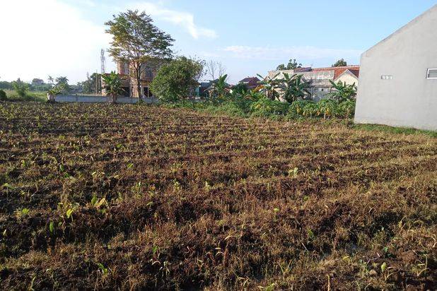 Tanah Kavling Area Margajaya Bogor Dekat Kampus IPB Dramaga