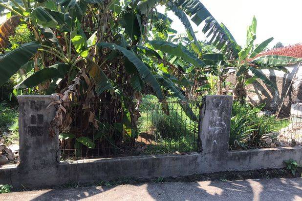 Tanah Kavling Area Beji Akses 2 Mobil Dekat Politeknik Negeri Jakarta