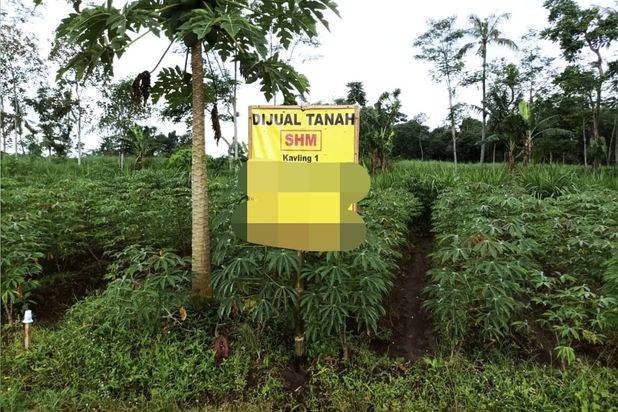 Tanah Siap Bangun Luas dan Strategis Di Pakis Malang