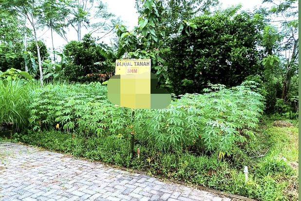 Tanah Siap Bangun Luas dan Strategis Di Pakis Malang
