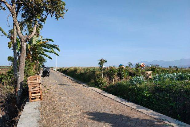 Tanah Torongrejo View Alam Akses Mudah Di Kota Batu
